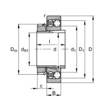 FAG Self-aligning ball bearings - 1308-K-TVH-C3 + H308