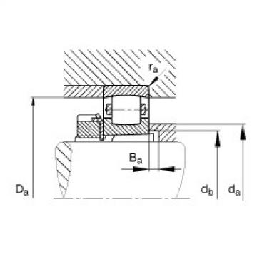 FAG Barrel roller bearings - 20313-K-MB-C3 + H313