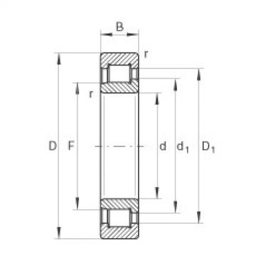 FAG Cylindrical roller bearings - SL192307-XL