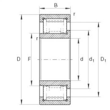 FAG Cylindrical roller bearings - ZSL192317