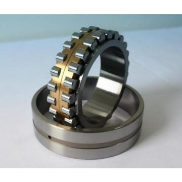 Bearing NNU49/500K