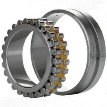 Bearing NNU48/850