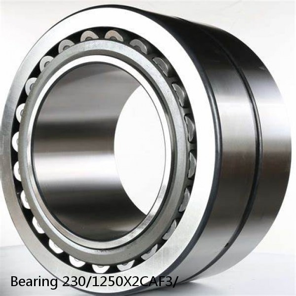 Bearing 230/1250X2CAF3/