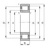 FAG Cylindrical roller bearings - NJ210-E-XL-TVP2