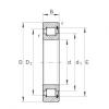 FAG Cylindrical roller bearings - SL183007-XL