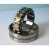 Bearing NN3160K #1 small image