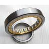 Bearing NU3176M