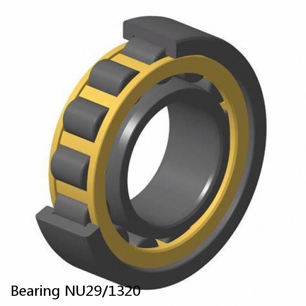 Bearing NU29/1320 #2 small image