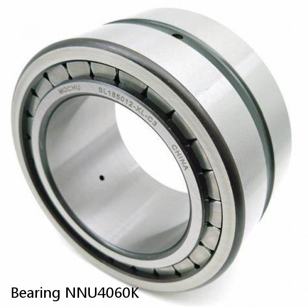 Bearing NNU4060K #2 small image