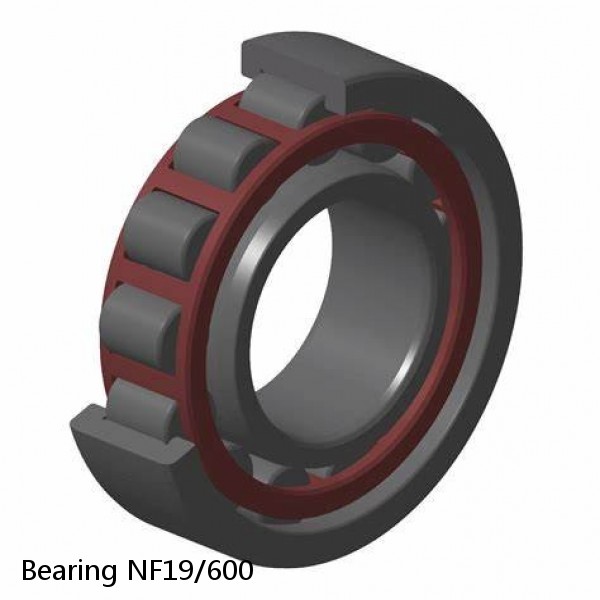 Bearing NF19/600 #1 small image