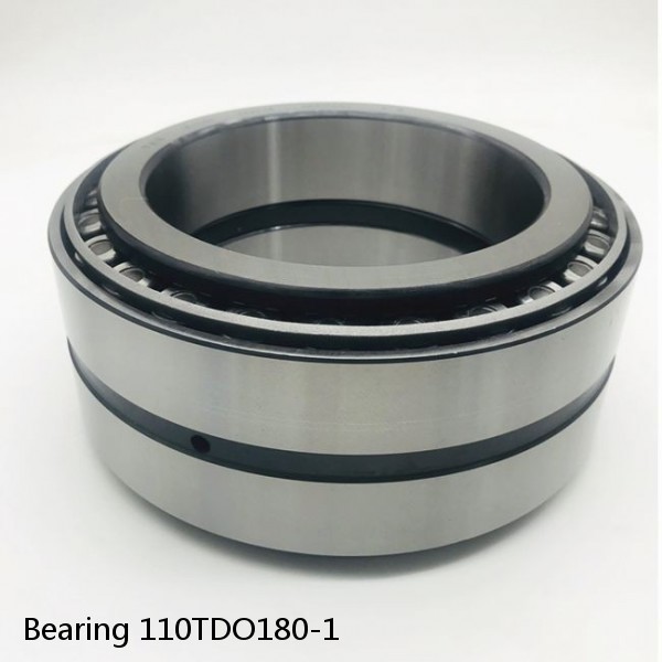 Bearing 110TDO180-1 #1 small image