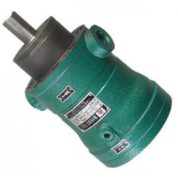 MCY14-1B fixed displacement piston pump #1 image