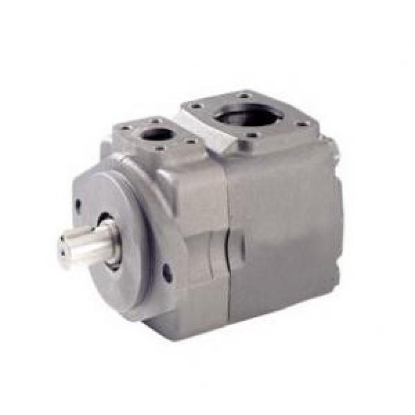 Rexroth Vane Pumps PVV2-1X/068RB15DMB #1 image