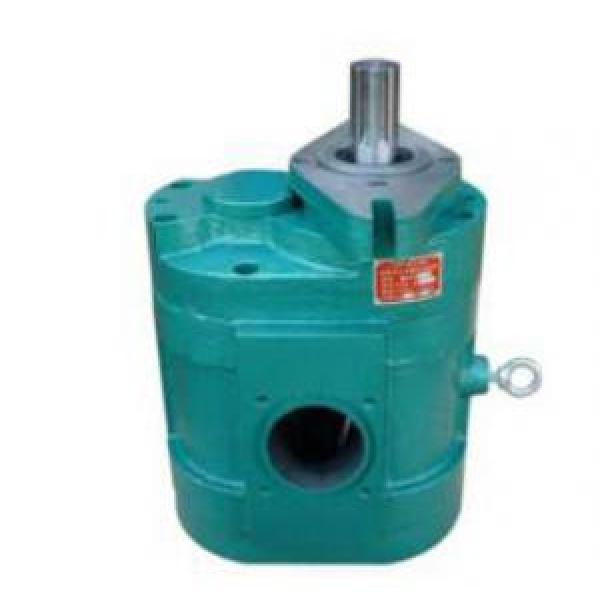 DCB-B900 Low Noise Large Flow Gear Pump #1 image