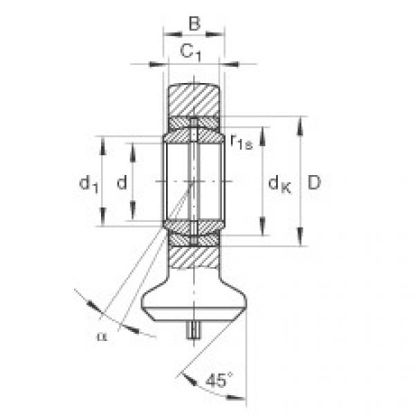 FAG Hydraulic rod ends - GK12-DO #1 image