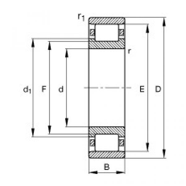 FAG Cylindrical roller bearings - N224-E-XL-TVP2 #1 image