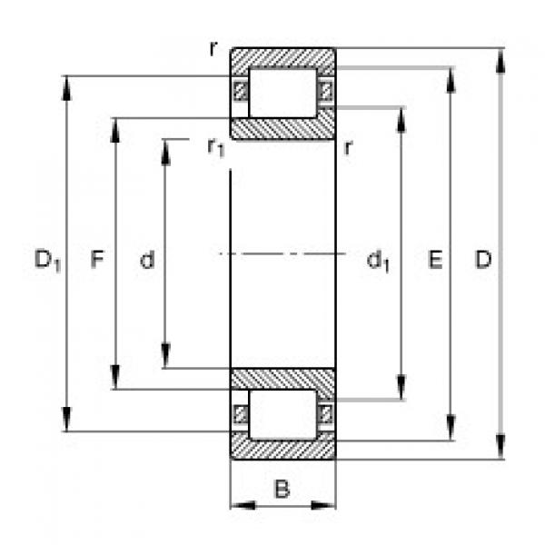 FAG Cylindrical roller bearings - NJ210-E-XL-TVP2 #1 image