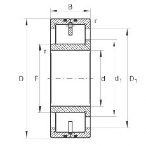 FAG Cylindrical roller bearings - LSL192332-TB #1 image