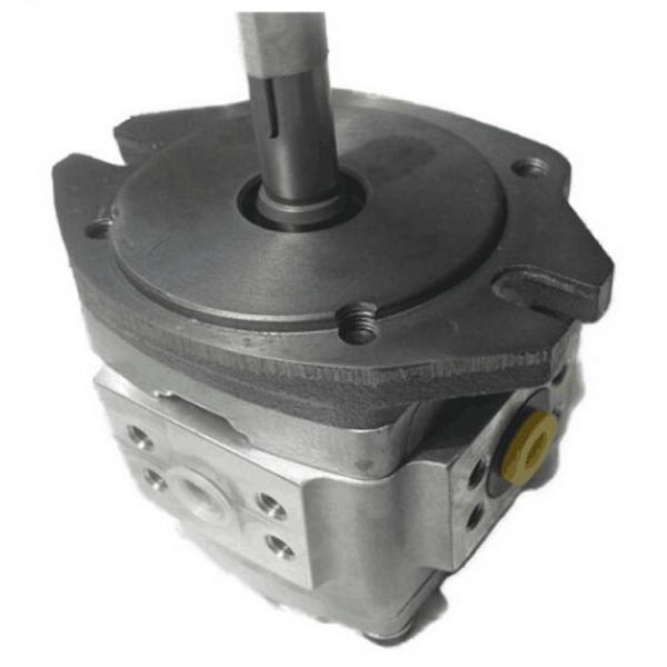 NACHI Piston Pump PVS-2B-45N3-20 #1 image