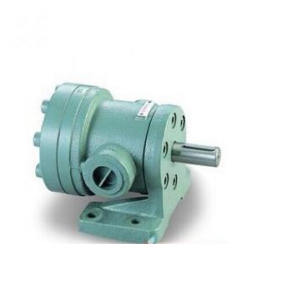 Hydraulic pump Daikin DVSB-4V-20 #1 image