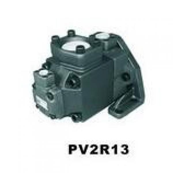  USA VICKERS Pump PVH057R01AA10B252000001001AE010A #4 image