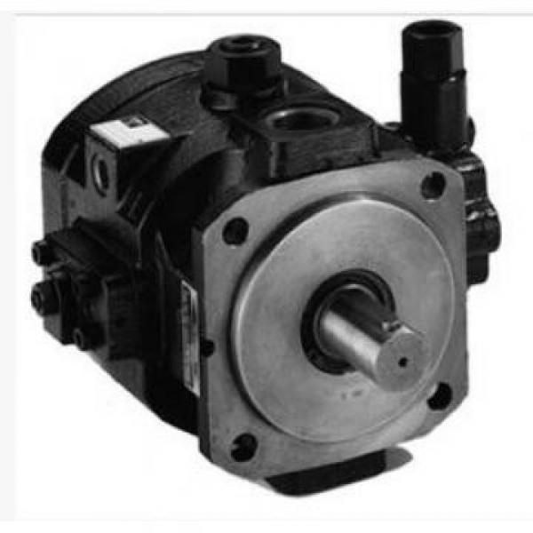 Parker pump and motor PAVC1009R4P22 #1 image