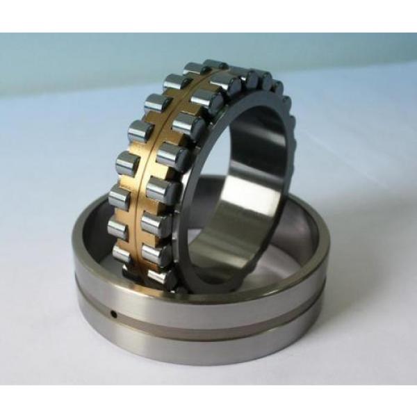 Bearing NNU4140K30 #1 image