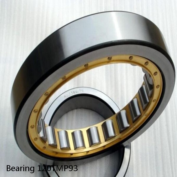 Bearing 120TMP93 #1 image