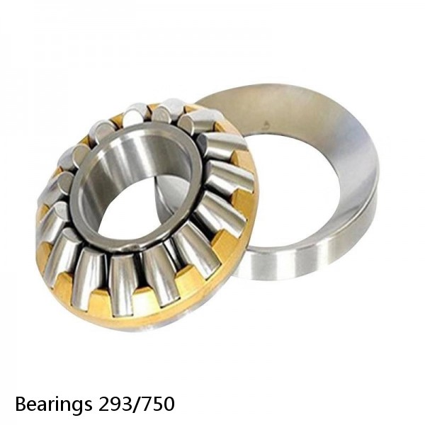 Bearings 293/750 #1 image