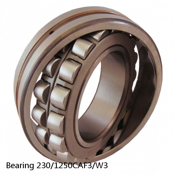 Bearing 230/1250CAF3/W3 #2 image