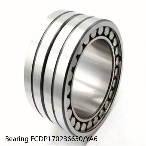 Bearing FCDP170236650/YA6 #1 image