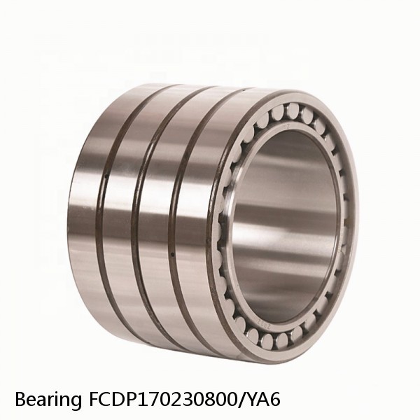 Bearing FCDP170230800/YA6 #1 image