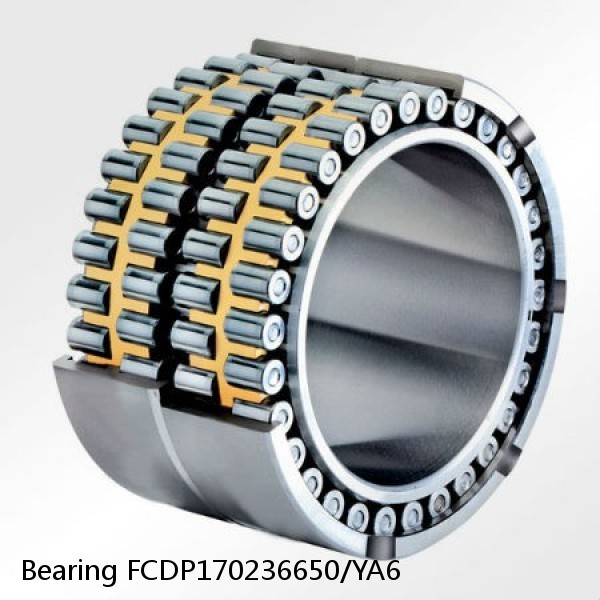 Bearing FCDP170236650/YA6 #2 image