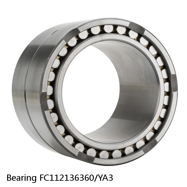 Bearing FC112136360/YA3 #2 image