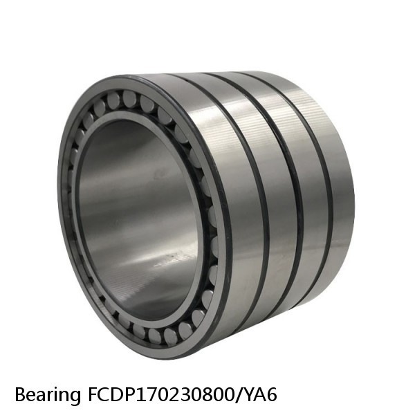 Bearing FCDP170230800/YA6 #2 image