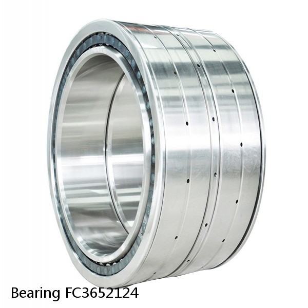 Bearing FC3652124 #2 image