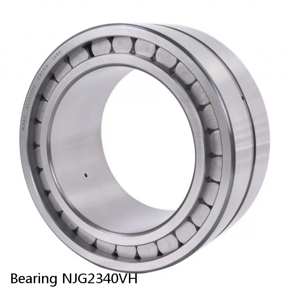 Bearing NJG2340VH #2 image