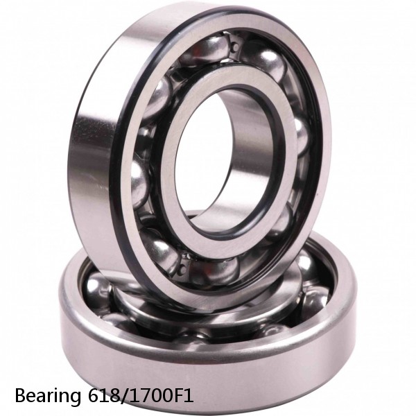 Bearing 618/1700F1 #2 image