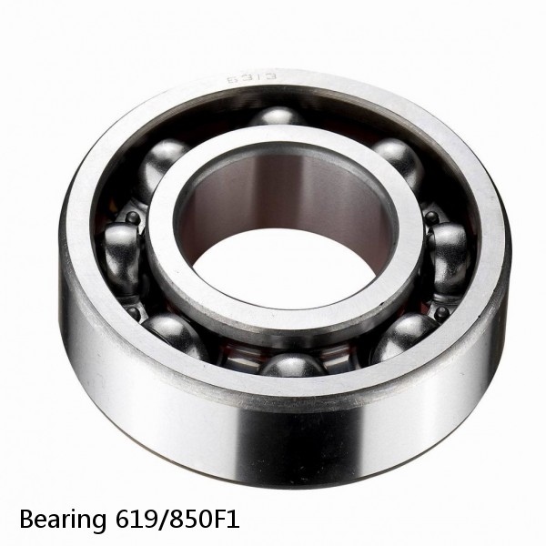 Bearing 619/850F1 #1 image