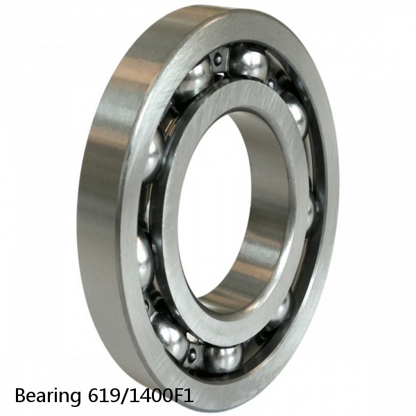 Bearing 619/1400F1 #1 image