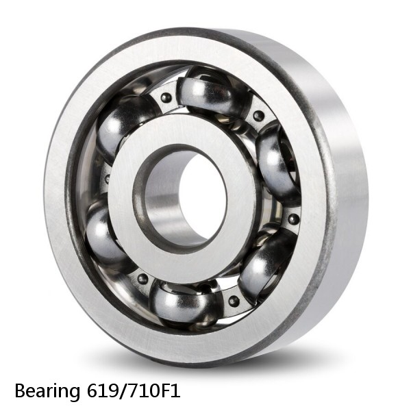 Bearing 619/710F1 #2 image