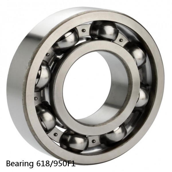 Bearing 618/950F1 #1 image