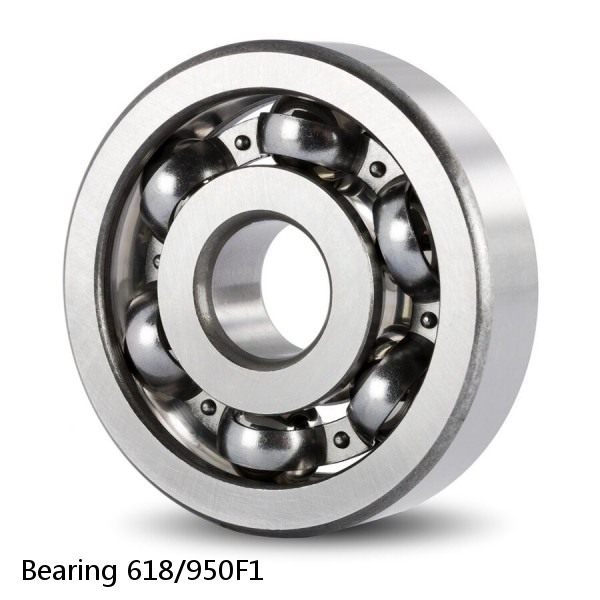 Bearing 618/950F1 #2 image