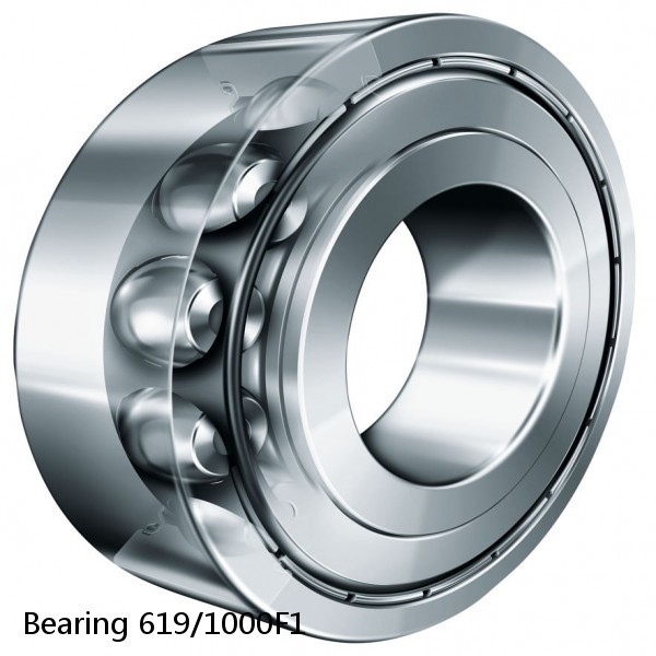 Bearing 619/1000F1 #2 image