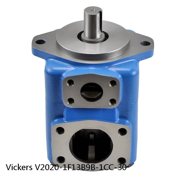 Vickers V2020-1F13B9B-1CC-30 #2 image