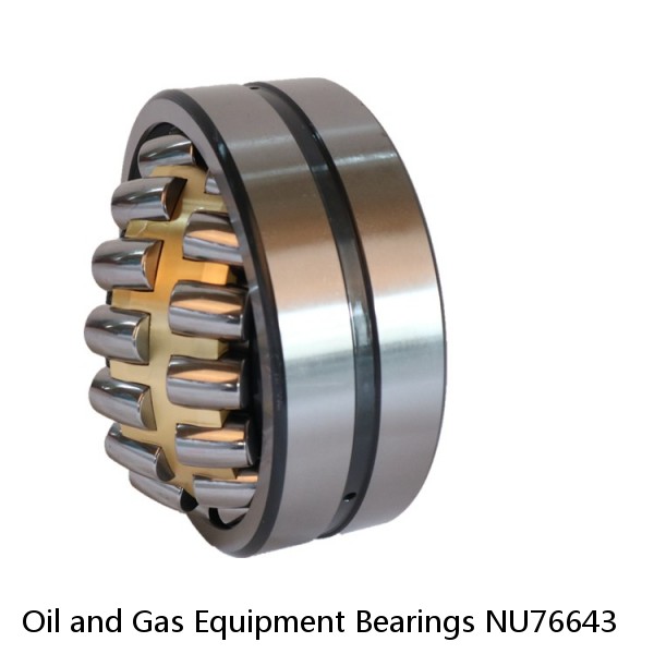 Oil and Gas Equipment Bearings NU76643 #1 image