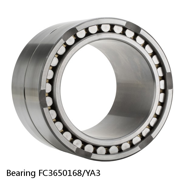 Bearing FC3650168/YA3 #2 image