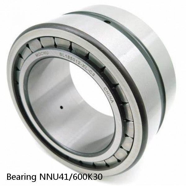 Bearing NNU41/600K30 #1 image