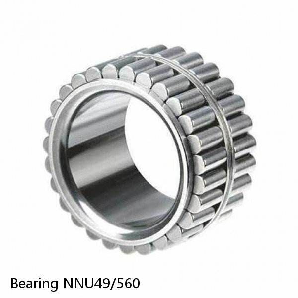 Bearing NNU49/560 #1 image