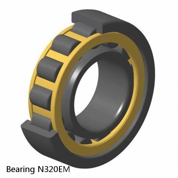 Bearing N320EM #1 image